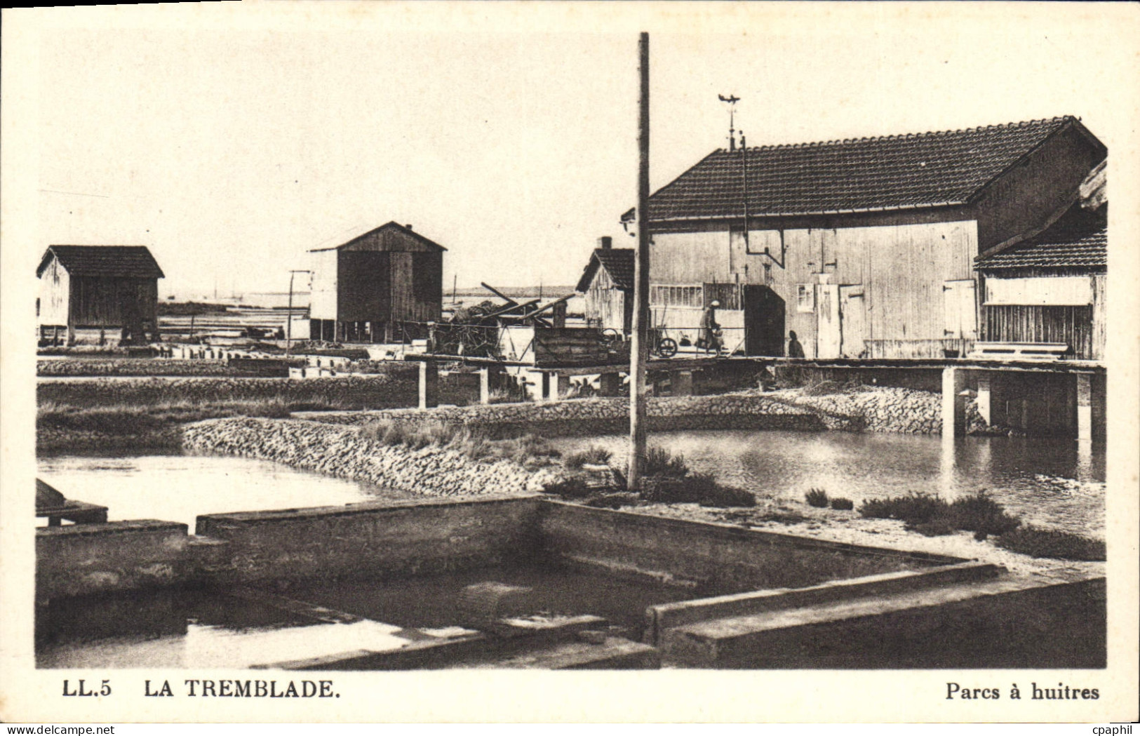 CPA La Tremblade Parcs A Huitres