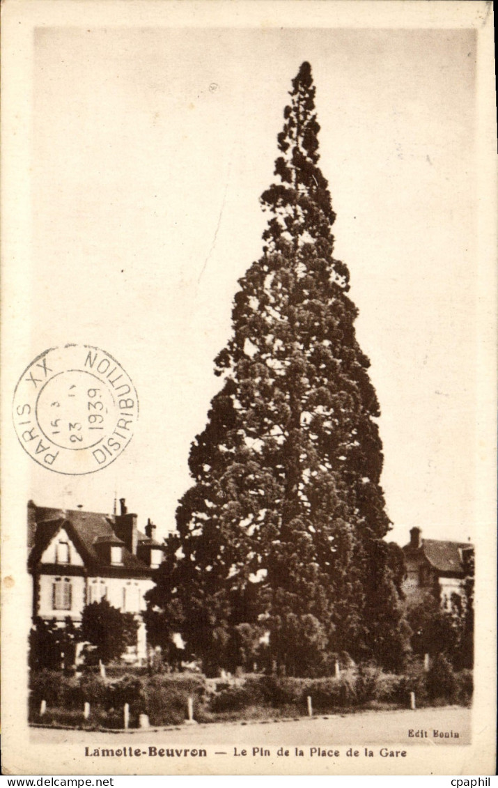 CPA Lamotte Beuvron Le Pin de la Place de la Gare