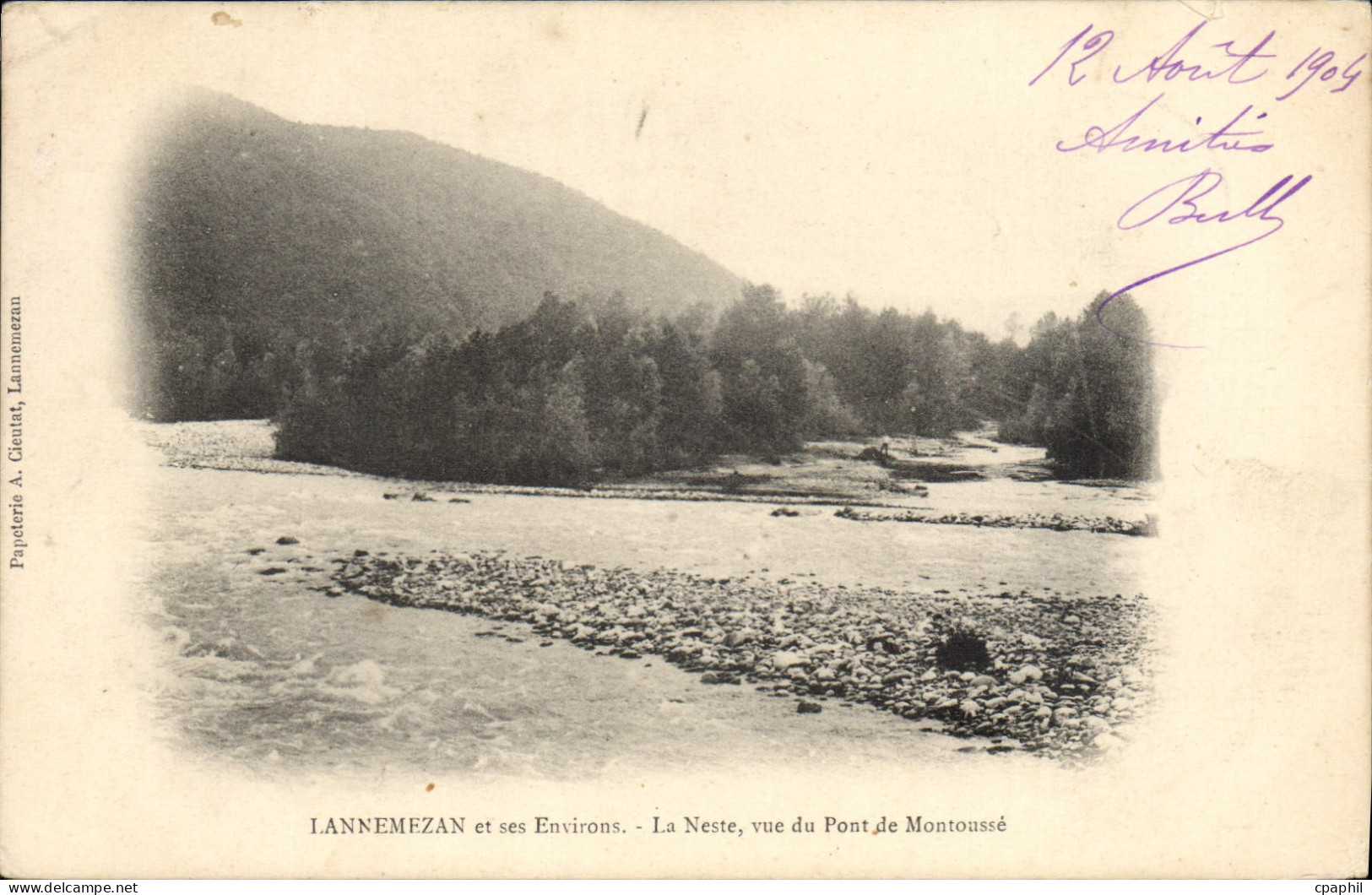 CPA Lannemezan et ses Environs La Neste vue du Pont de Montoasse