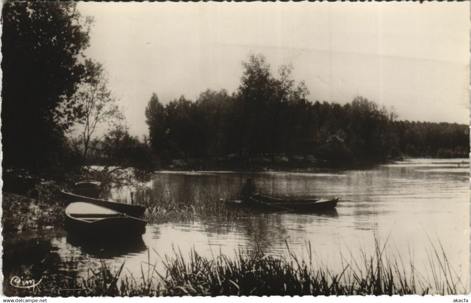 CPA LAROCHE-SAINT-CYDROINE L'Yonne et l'Armancon (1198573)