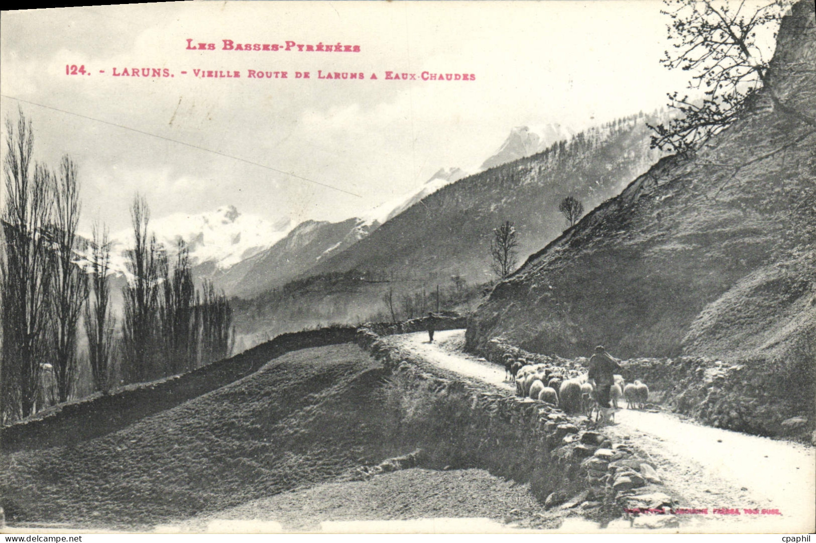 CPA Laruns Vieille Route De Laruns a Eaux Chaudes Berger Moutons
