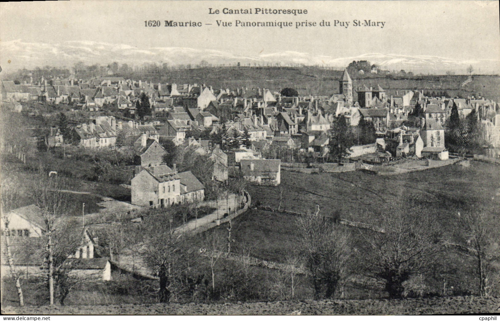 CPA Le Cantal Pittoresque Mauriac Vue Panoramique prise du Puy St Mary