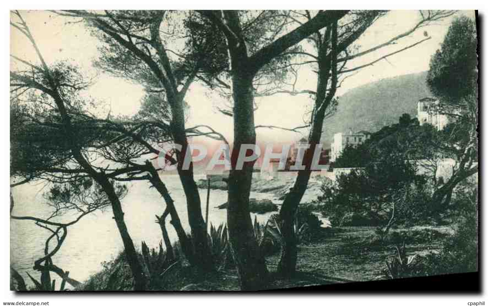 CPA Le Cap d'Ail
