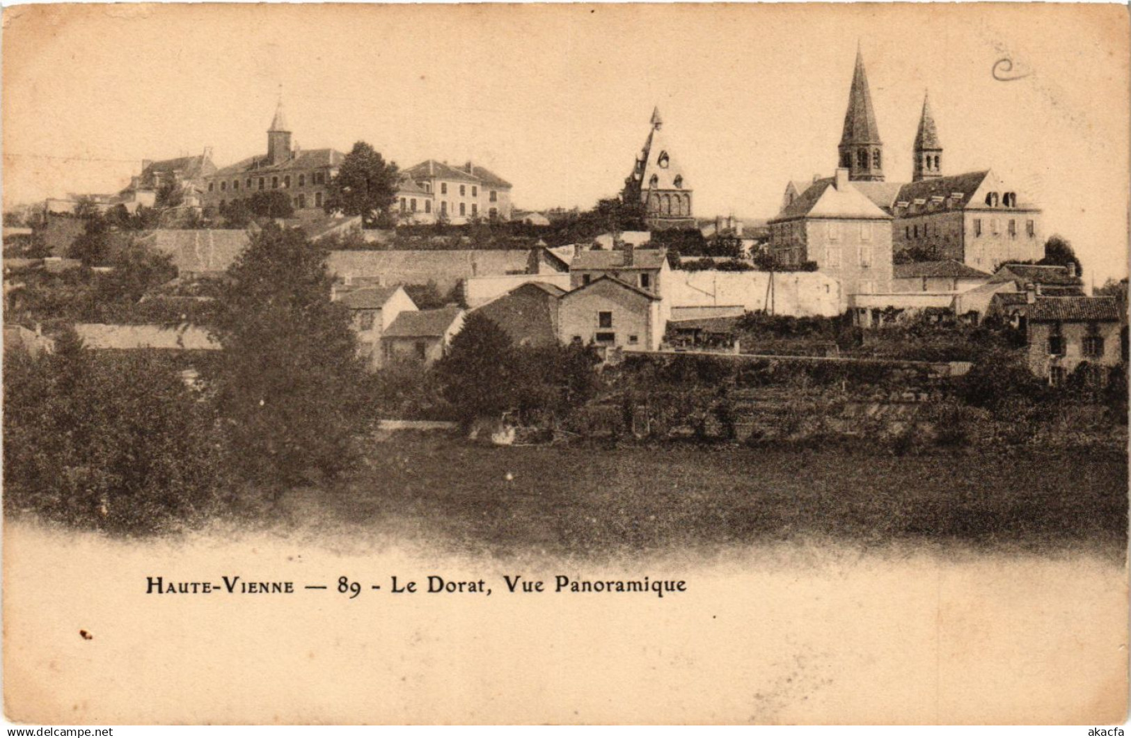 CPA Le DORAT Vue Panoramique (390553)