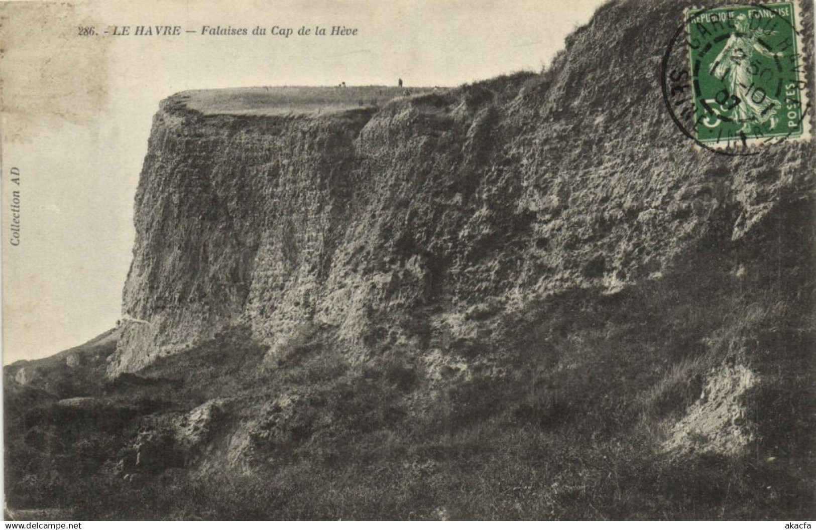CPA Le HAVRE - Falaises du Cap de la Heve (201111)