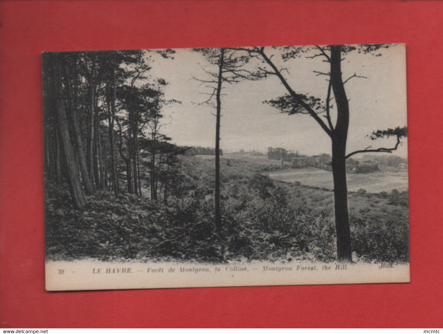 CPA -   Le Havre - Forêt de Montgeon, la Colline - Montgeon Forest The Hill