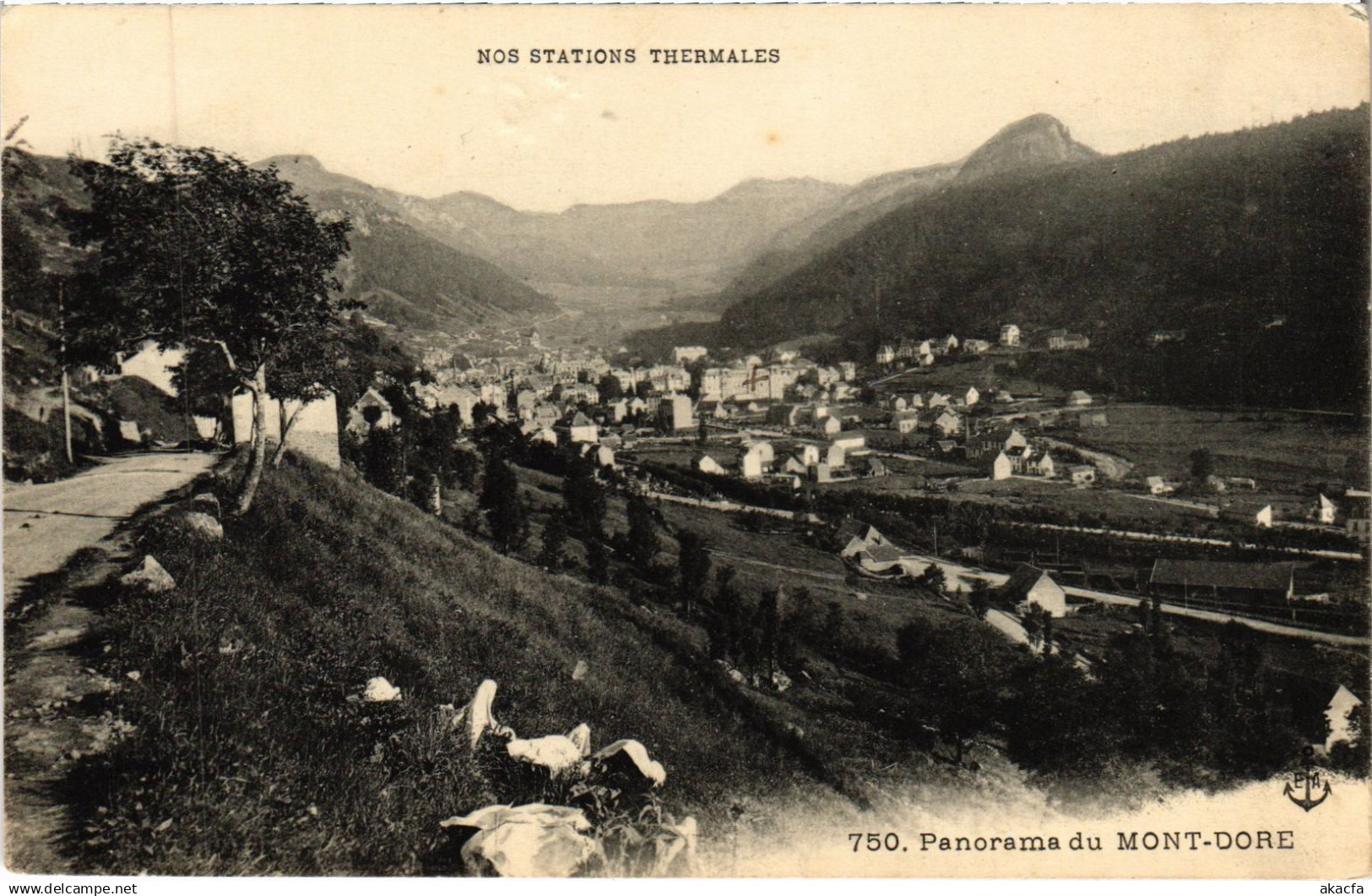CPA LE MONT-DORE Panorama du Mont-Dore (1257261)