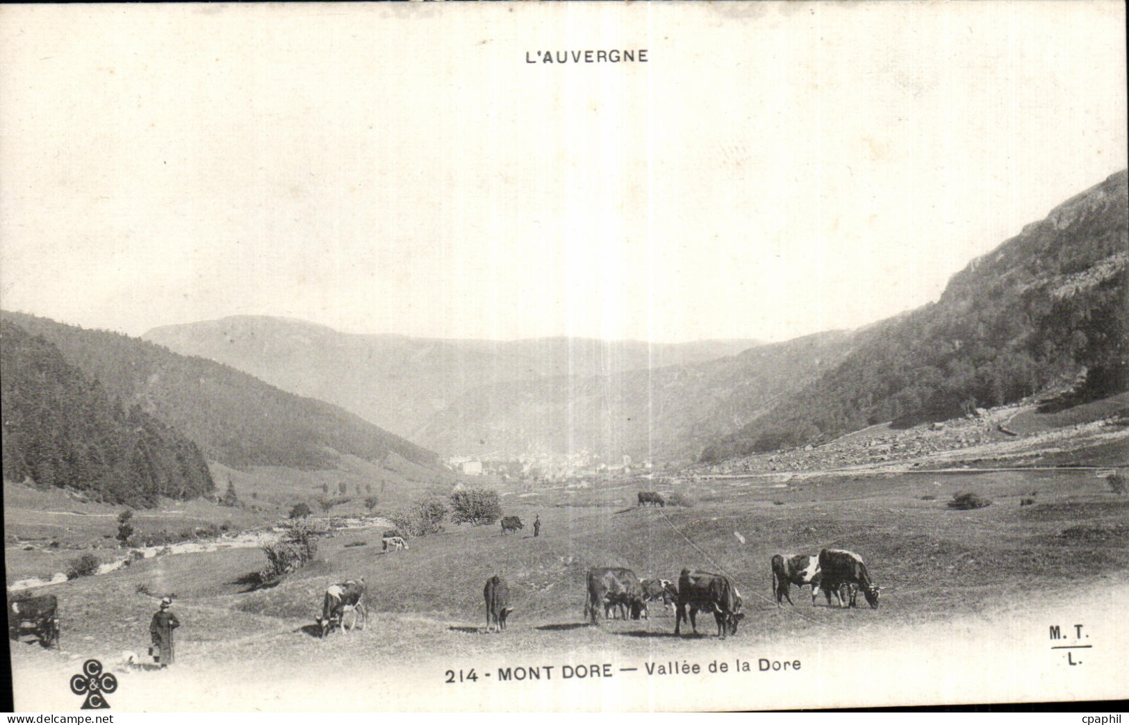 CPA Le Mont Dore Vallee de la Dore Vaches