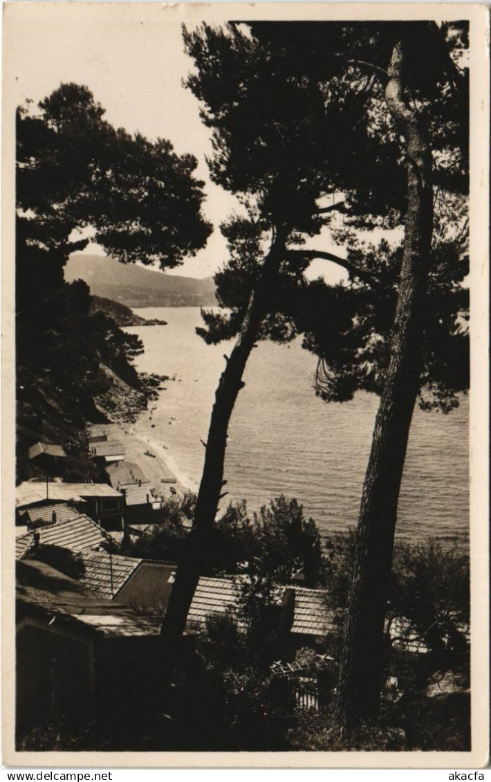 CPA LE PRADET Le Pin de Galle (1110697)