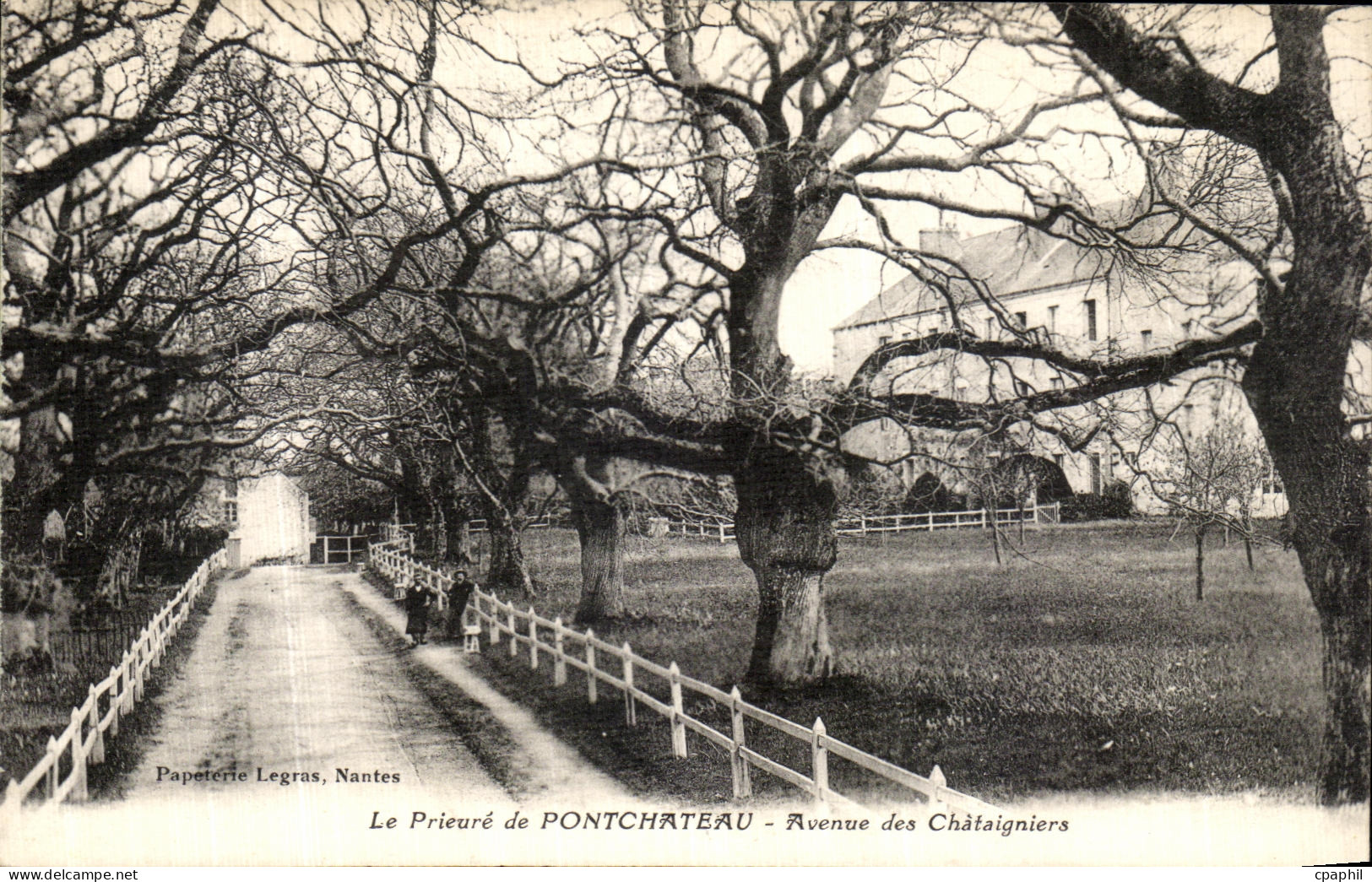 CPA Le Prieure de Pontchateau Avenue des Chataigniers