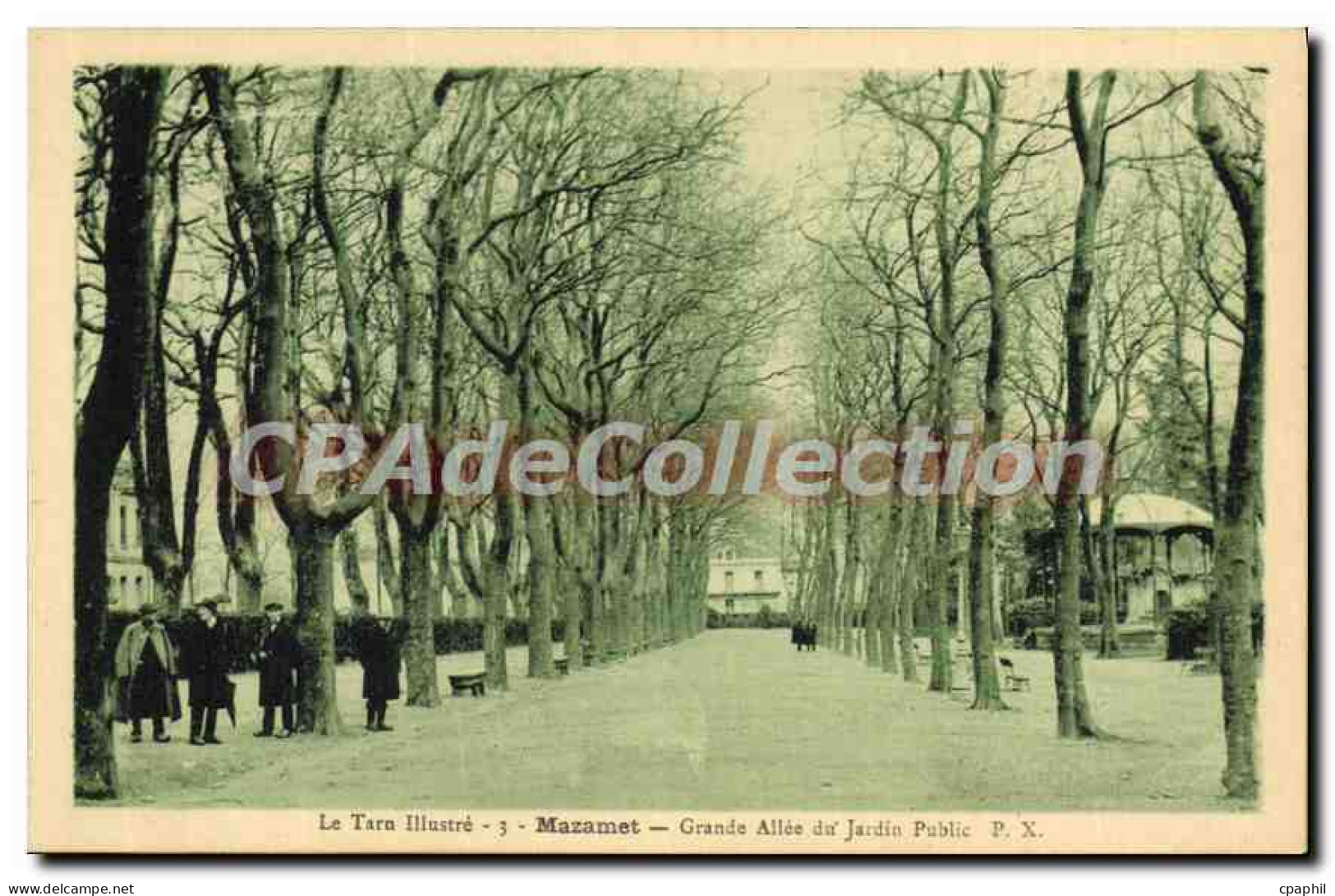 CPA Le Tarn illustre Mazamet Grand Allee du Jardin Public