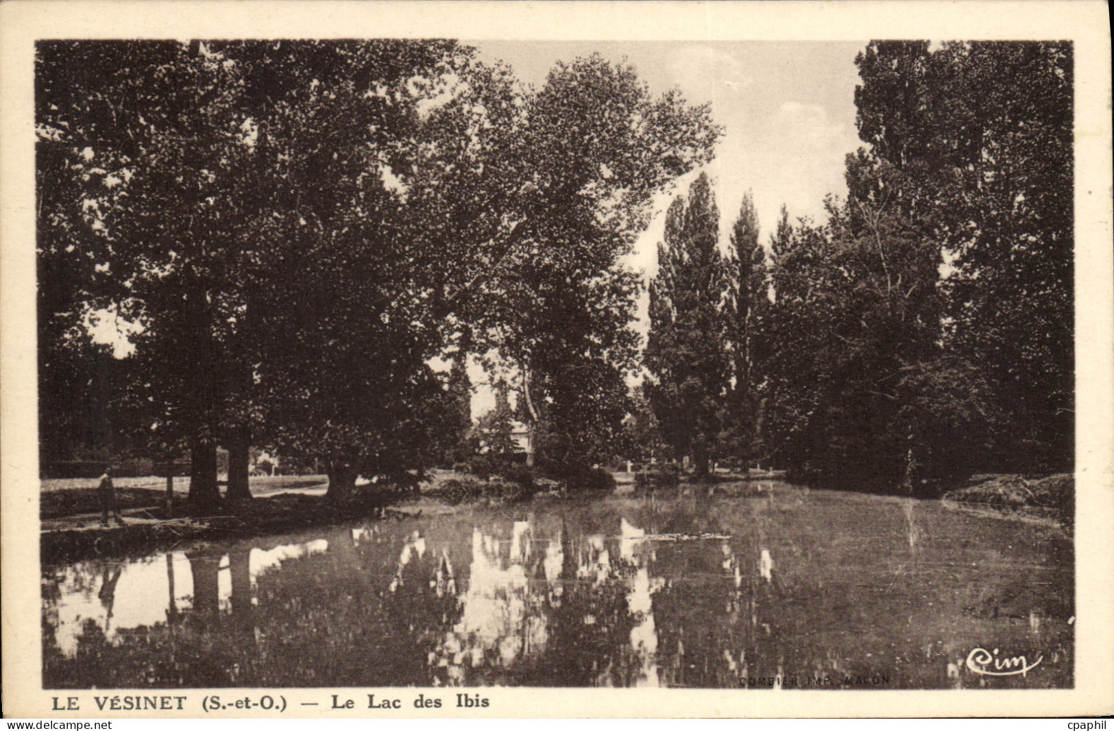 CPA Le Vesinet Le Lac des Ibis