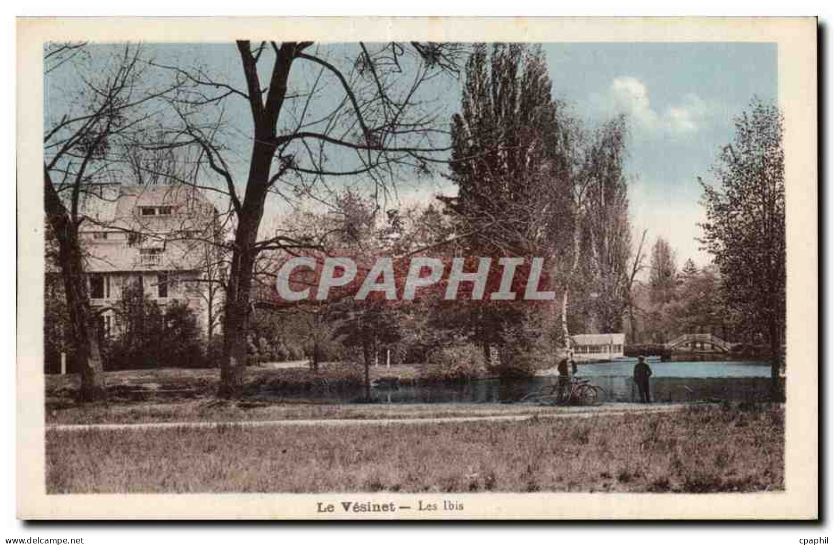 CPA Le Vesinet Les ibis