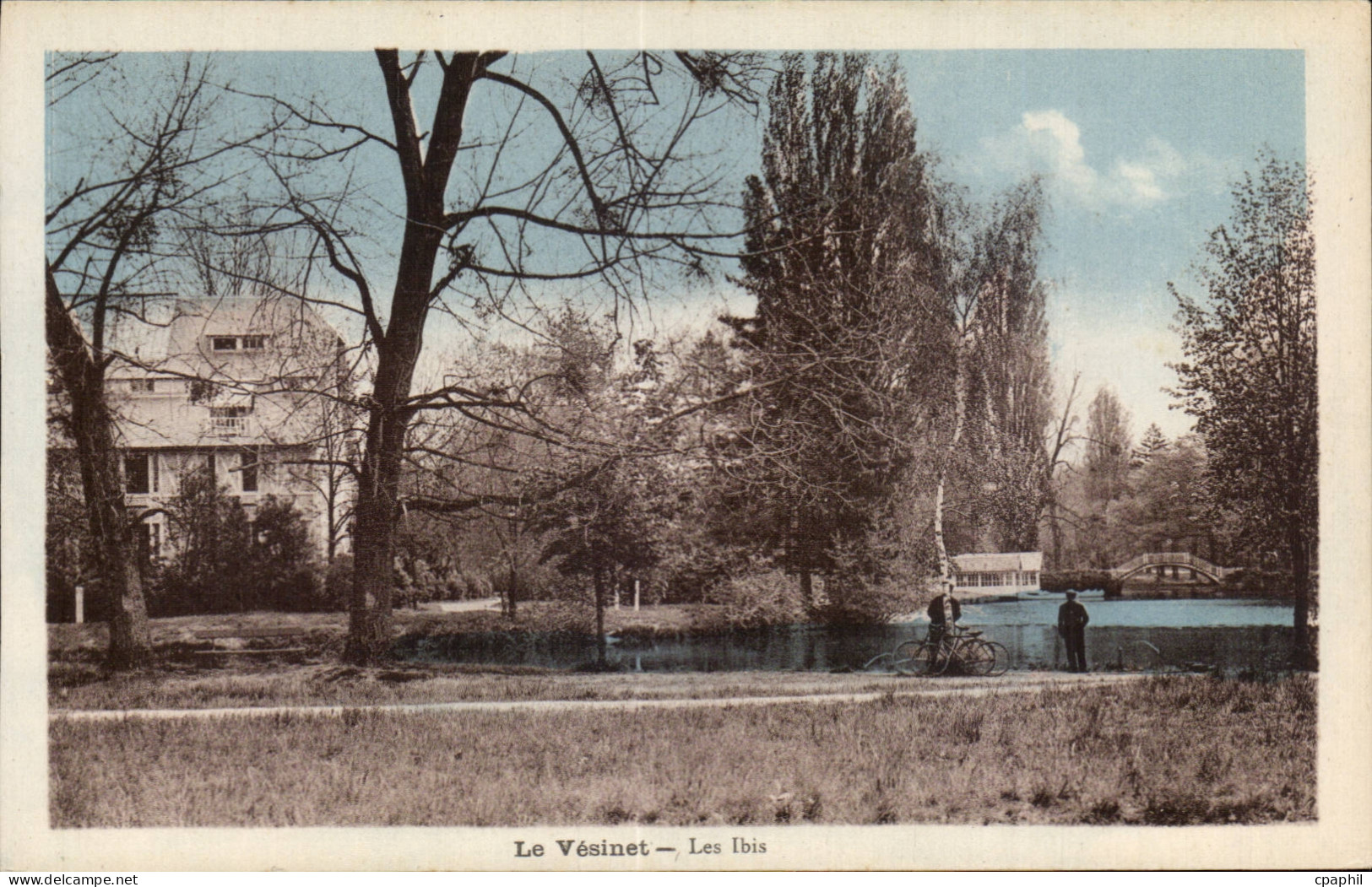 CPA Le Vesinet Les Ibis