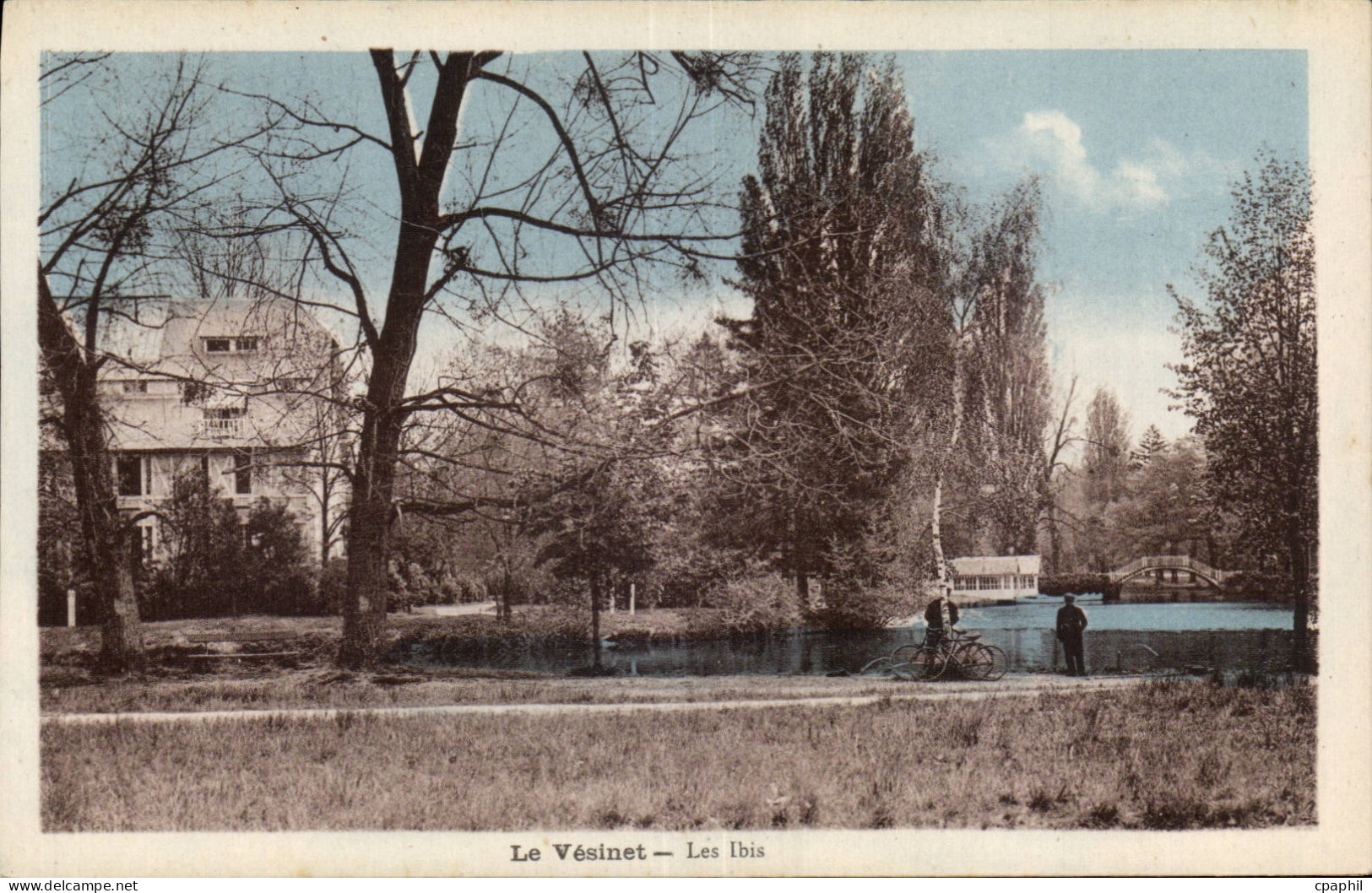 CPA Le Vesinet Les Ibis
