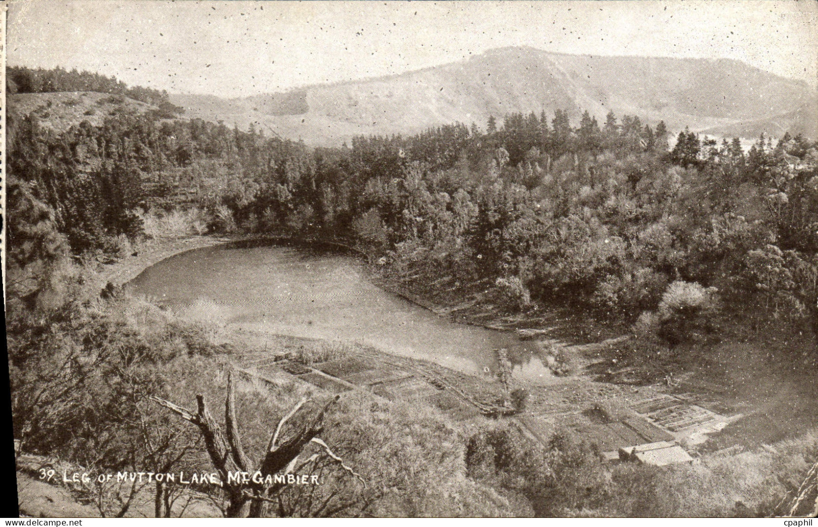 CPA Lec Of Mutton Lake Mt Gambier