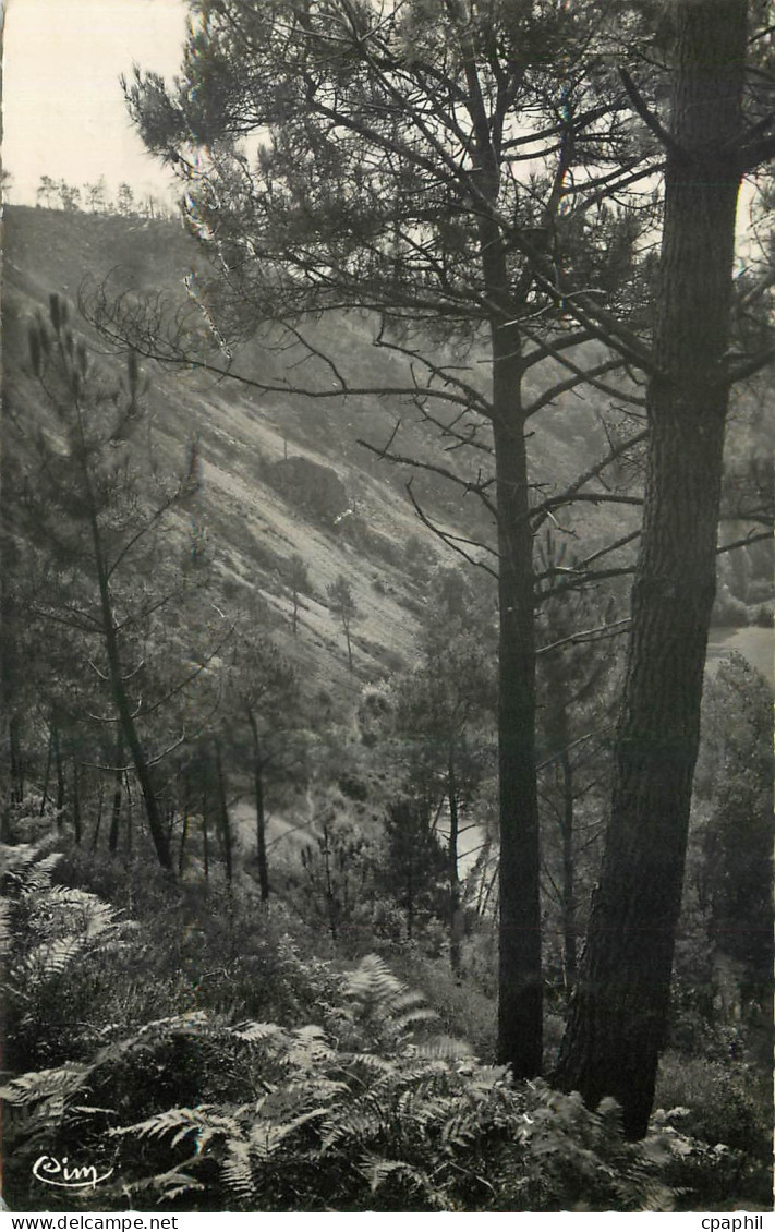 CPA Les Alpes Mancelles Saint Leonard des Bois Sarthe Versant du Haut Fourche