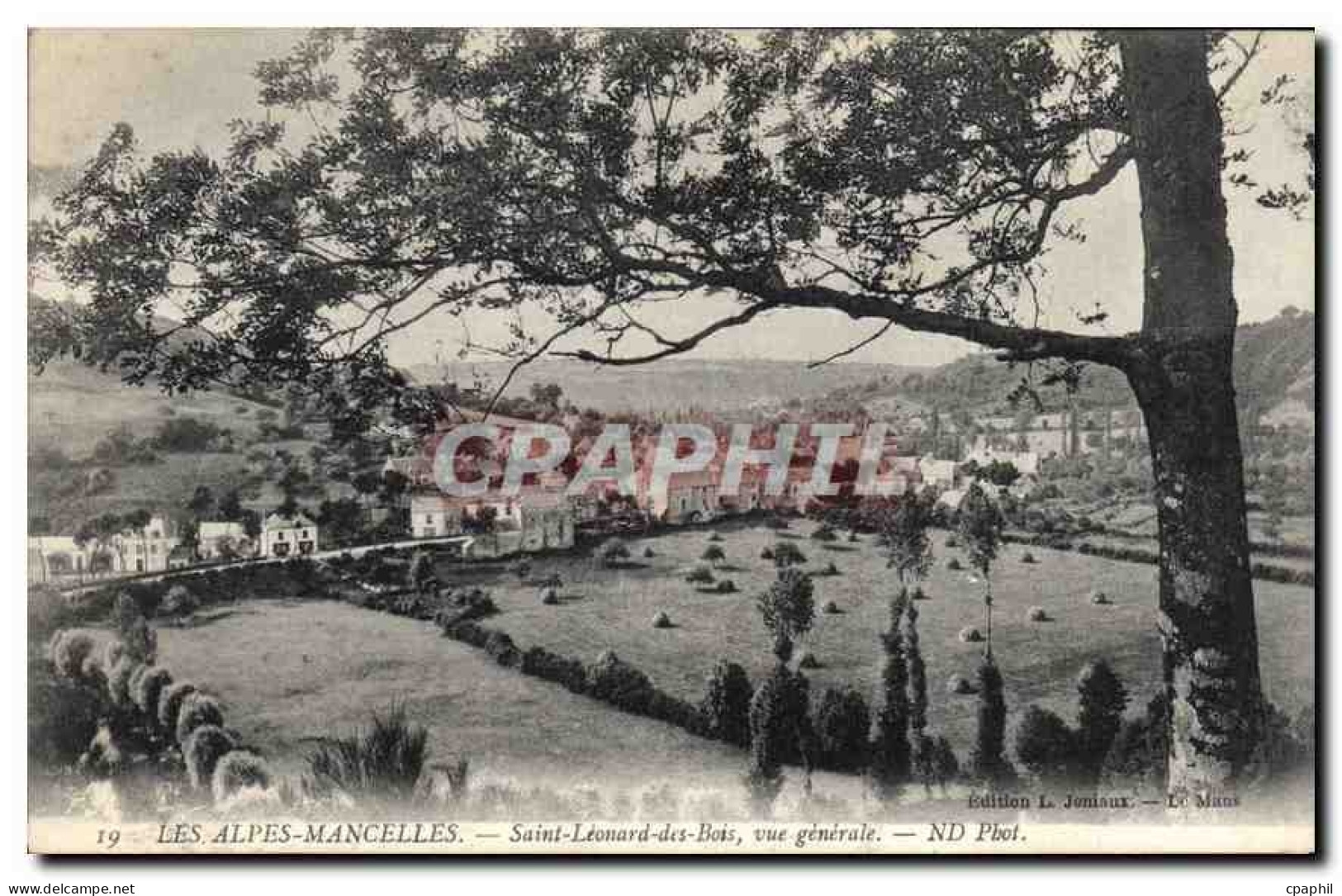 CPA Les Alpes Mancelles Saint Leonard des Bois vue generale