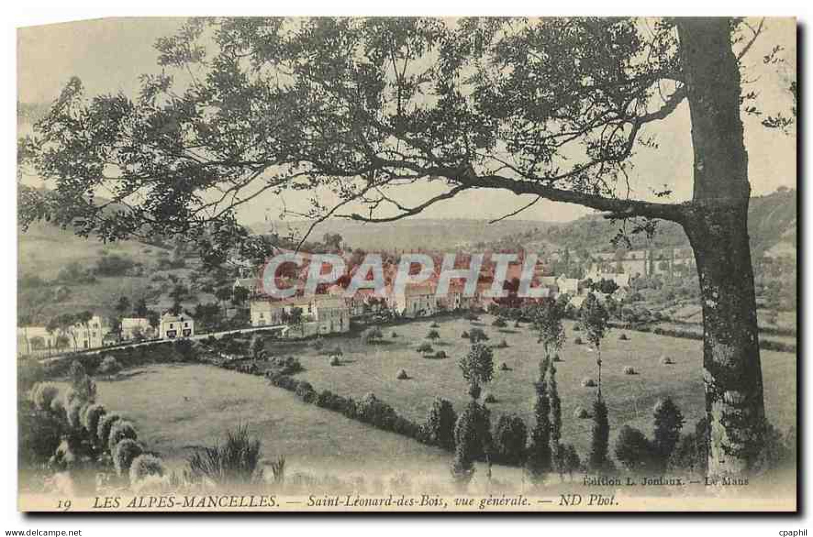 CPA Les Alpes Manchelles Saint Leonard des Bois vue generale