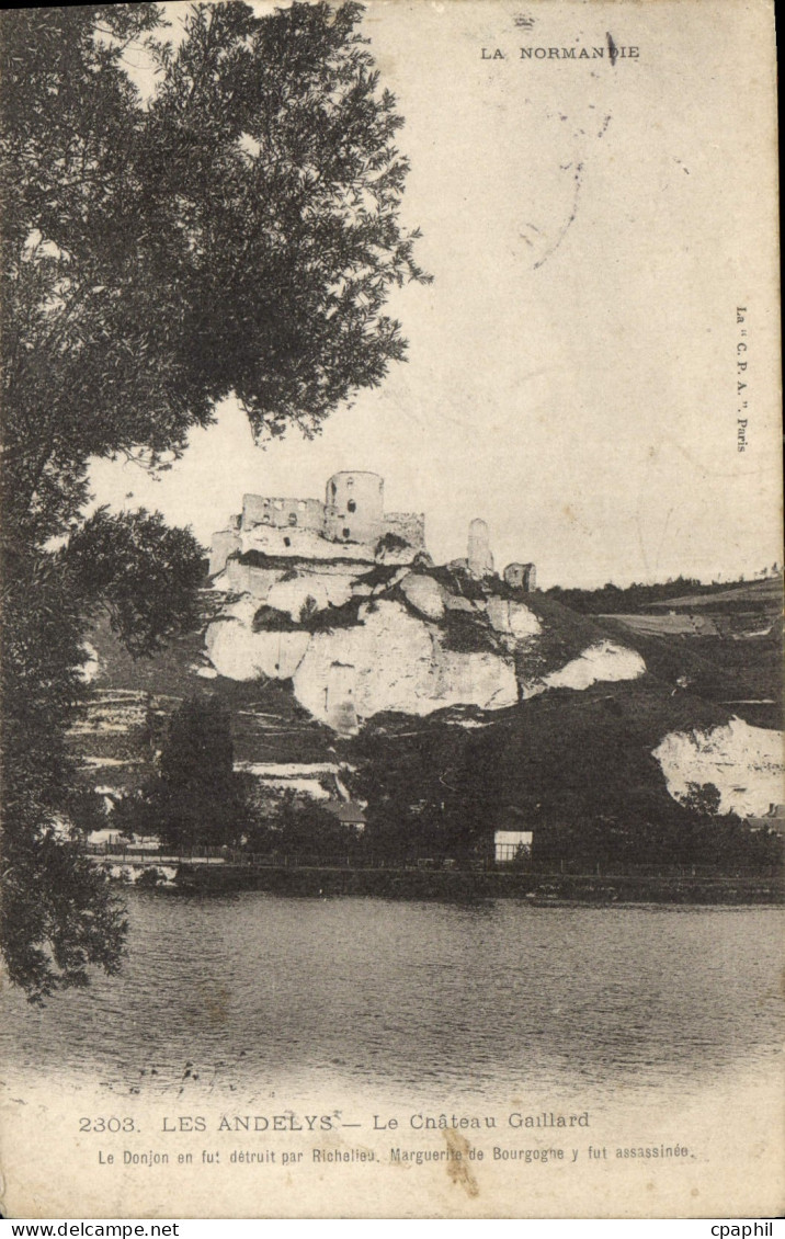 CPA Les Andelys Le Chateau Gaillard