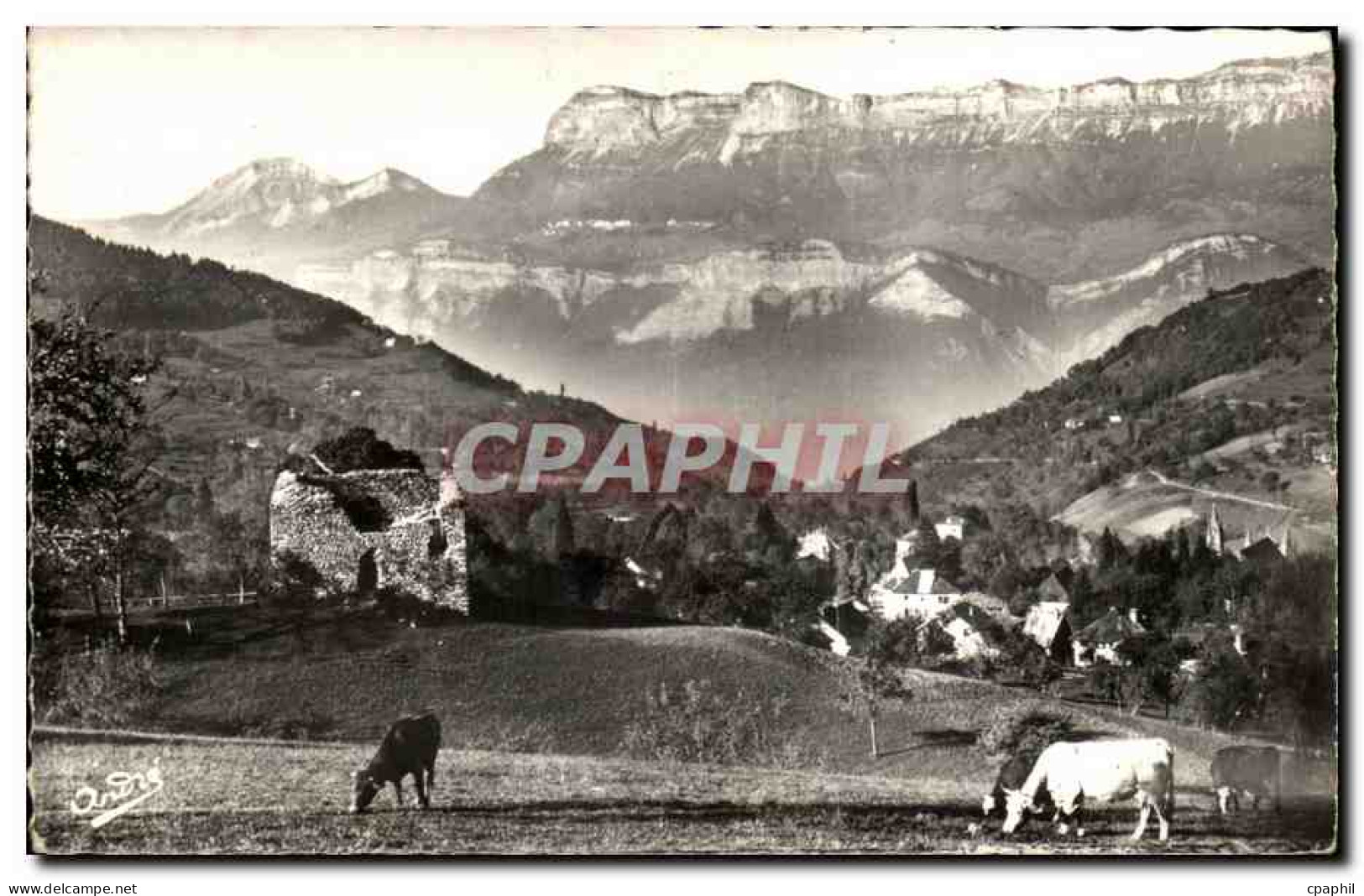 CPA Les Belles Alpes Francaises Theys Vue Generale Au fond le Plateau des Petites Rochers Vaches