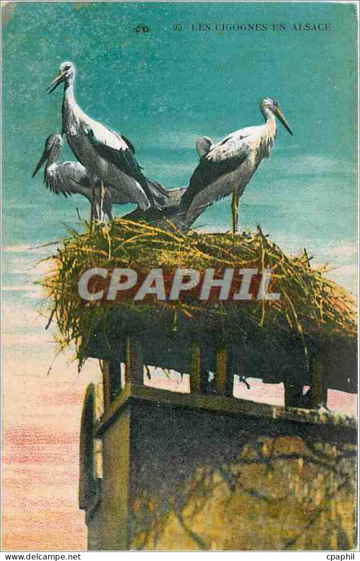 CPA Les Cigognes en Alsace