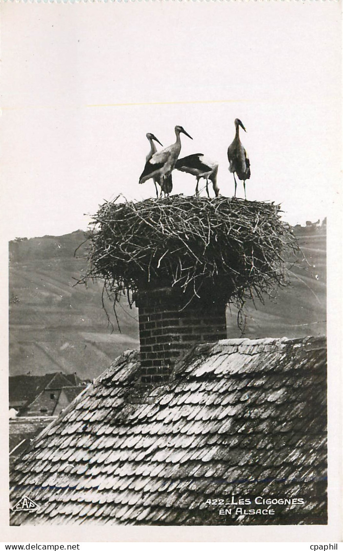 CPA Les Cigognes En Alsace
