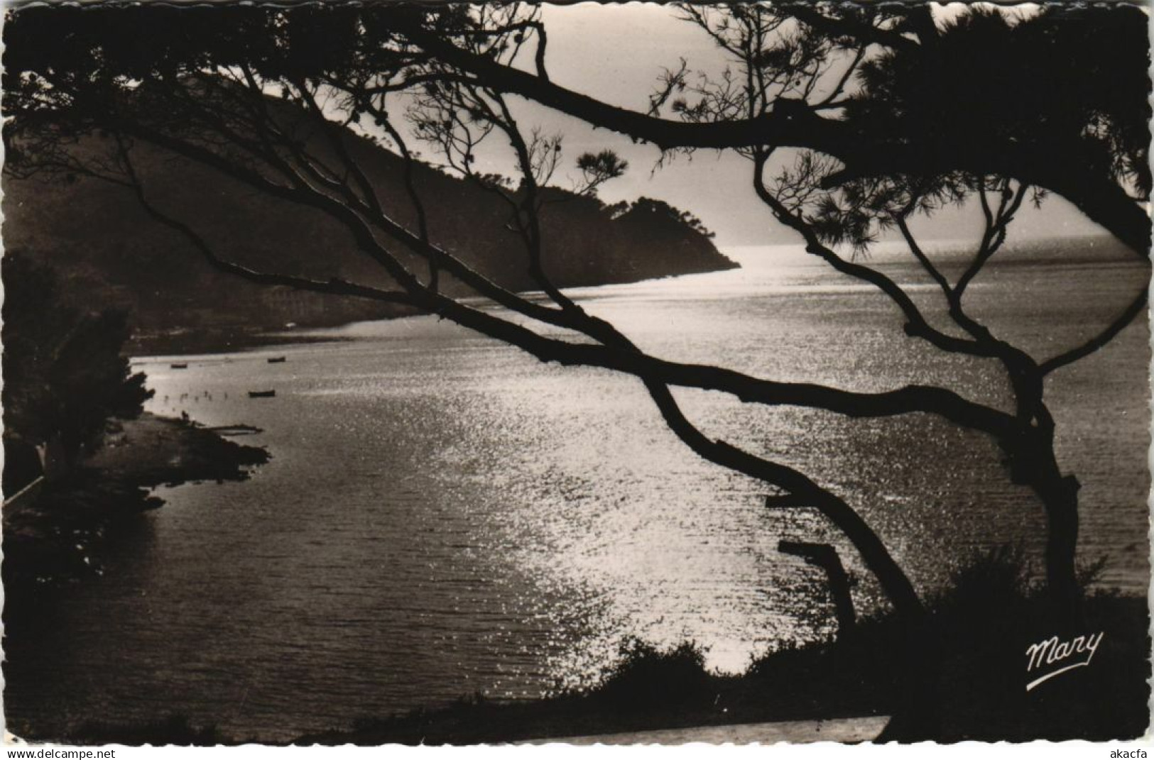 CPA LES LECQUES Contre-Jour sur la Madrague (1110623)