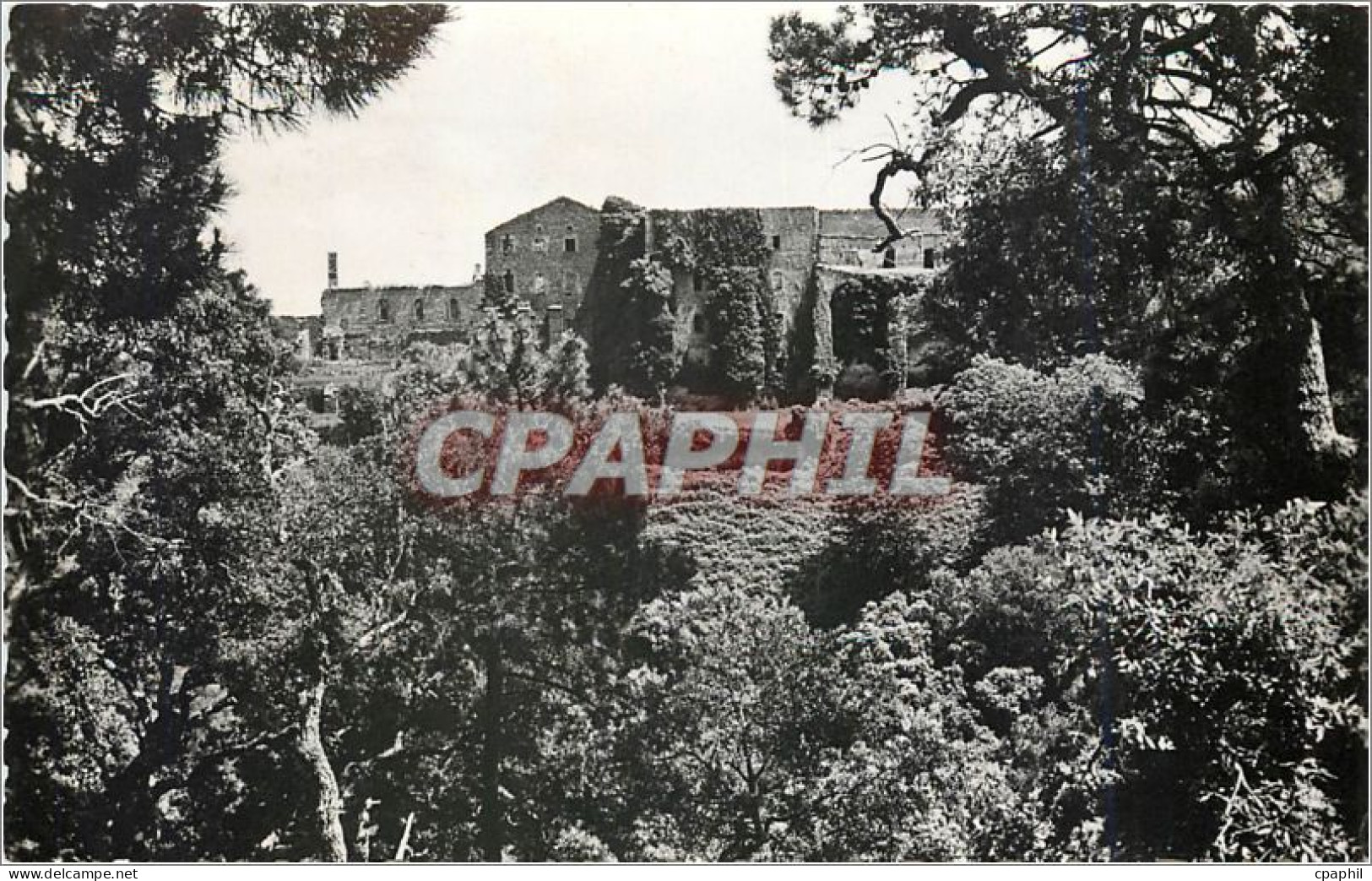 CPA Les Moures.P498 COLLOBRIERES La Chaeuse de la Verne