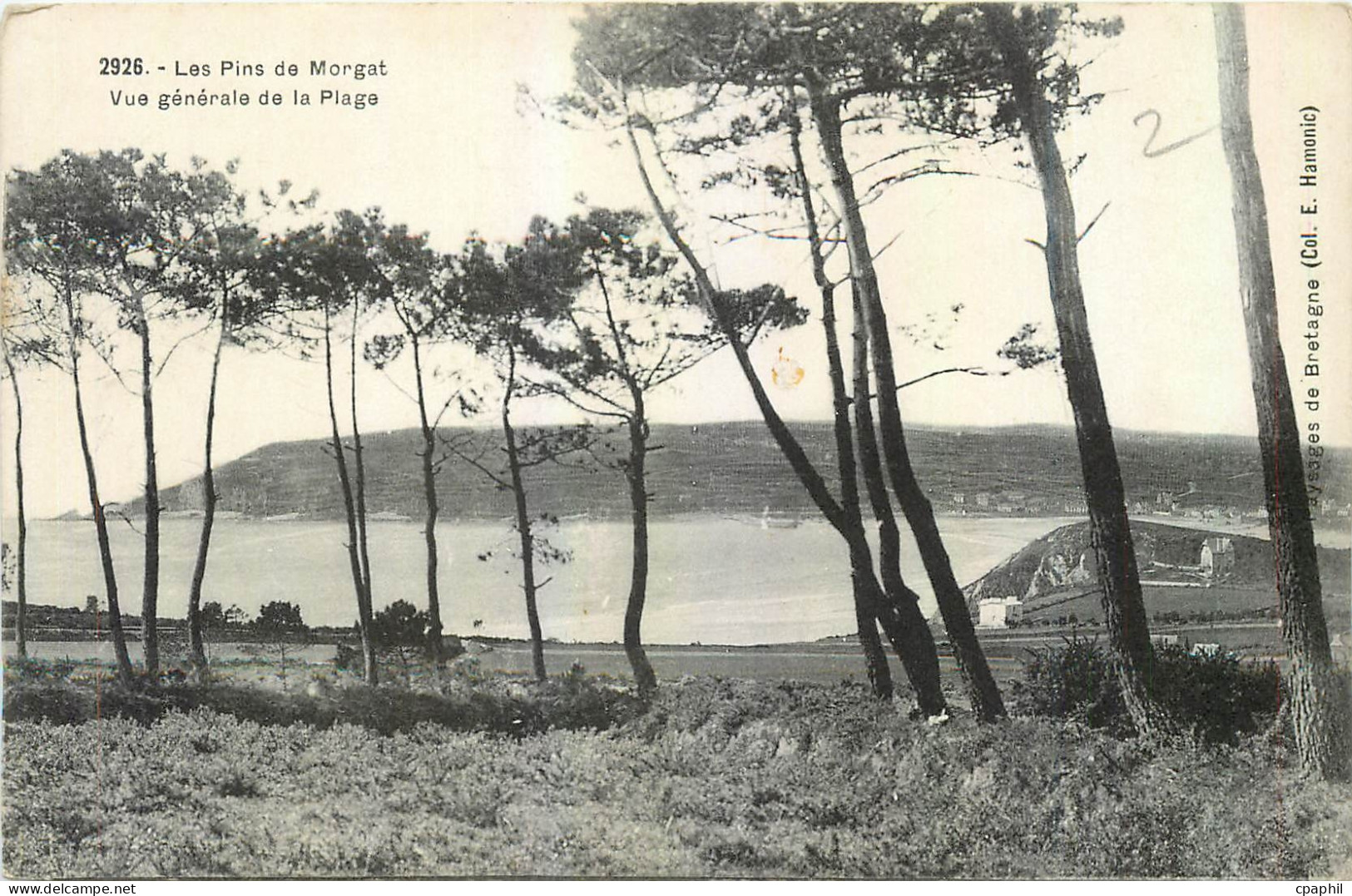 CPA Les Pins de Morgat Vue generale de la Plage