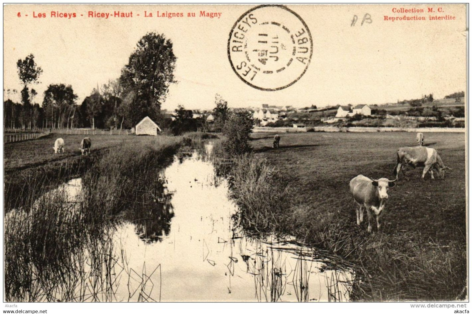 CPA Les RICEYS La Laignes au Magny (722911)