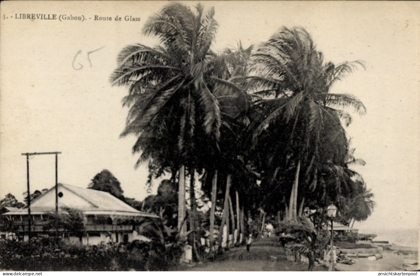 CPA Libreville Gabun, Palmen, Straße, Gebäude, Gabun