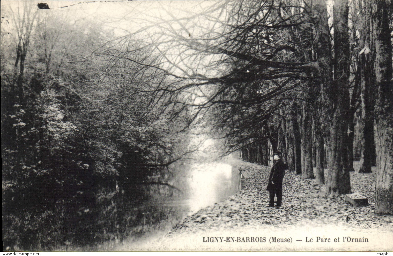 CPA Ligny En Barrois Le Parc Et I'Ornain