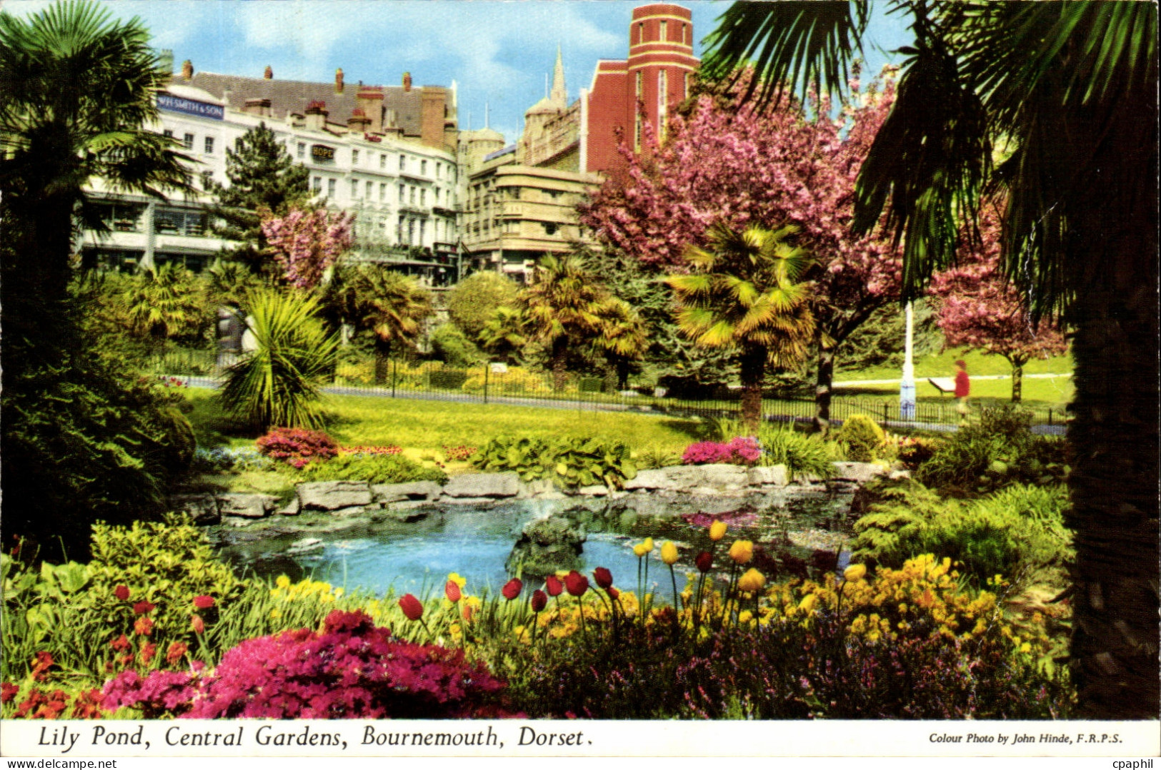 CPA Lily Pond Central Gardens Bournemouth Dorset