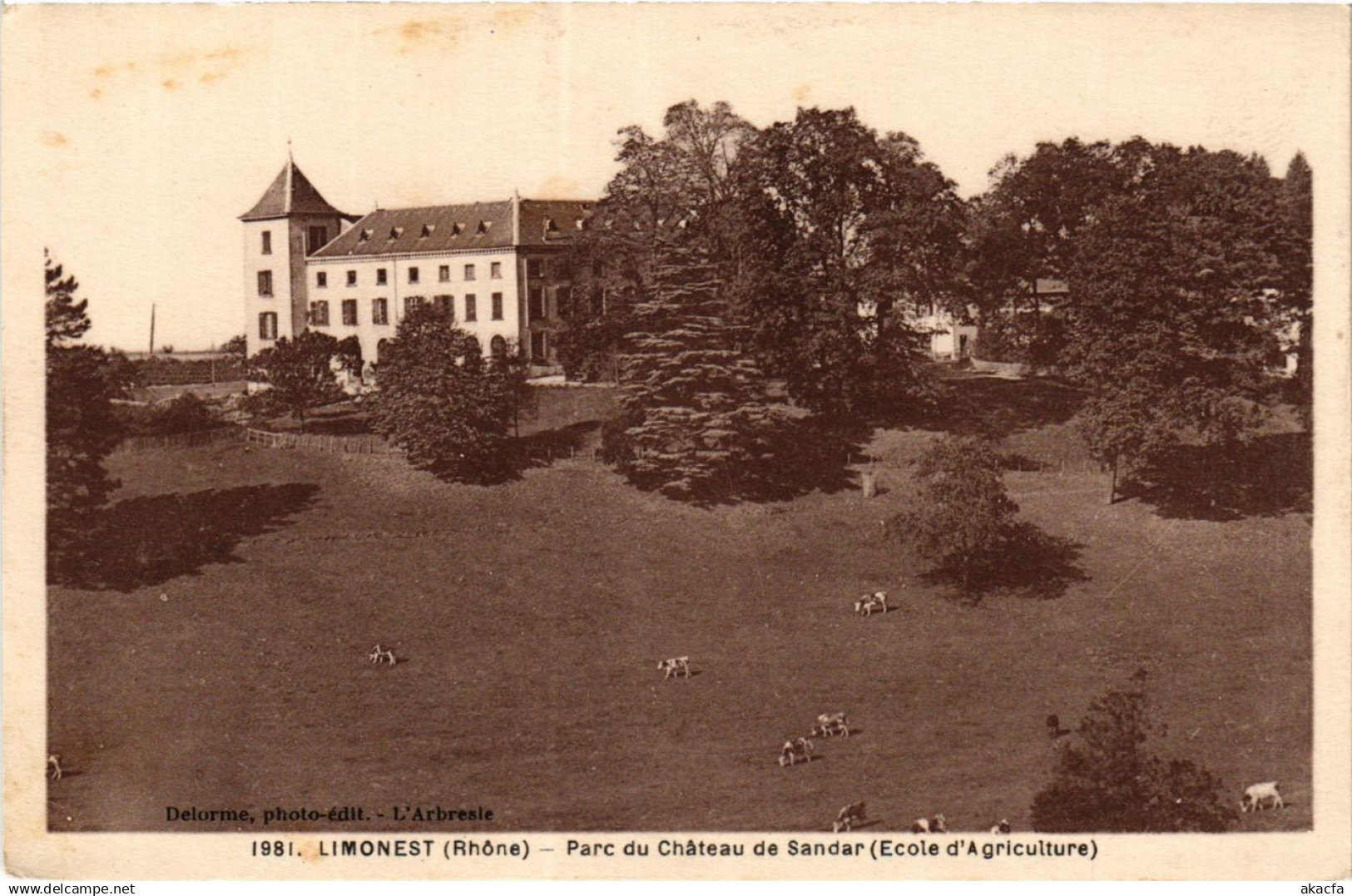 CPA LIMONEST - Parc du Chateau de Sandar (367663)