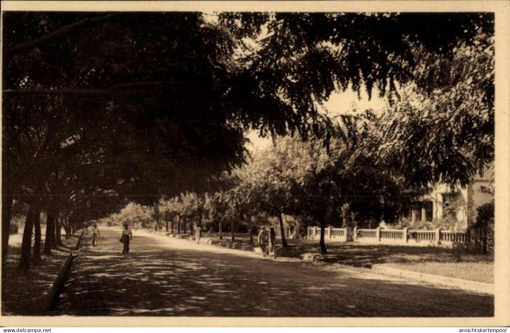 CPA Lubumbashi Elisabethville DR Kongo Zaire, Avenue de Sankuru