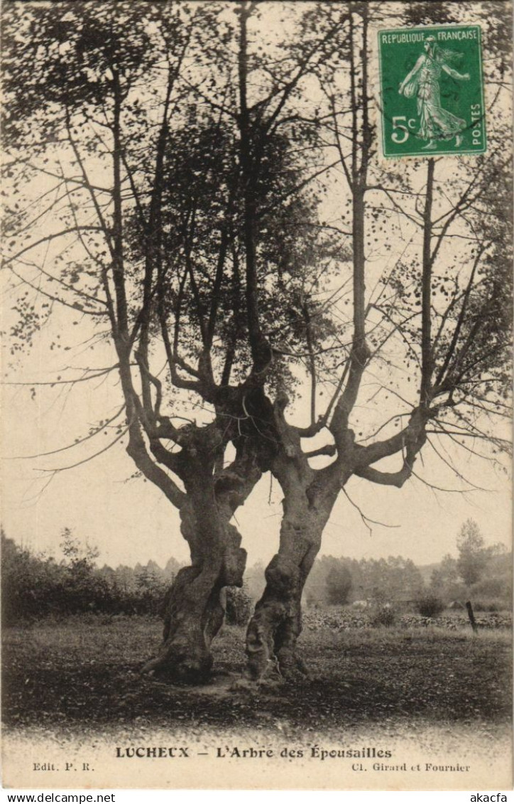 CPA LUCHEUX Arbre des Épousailles (17567)