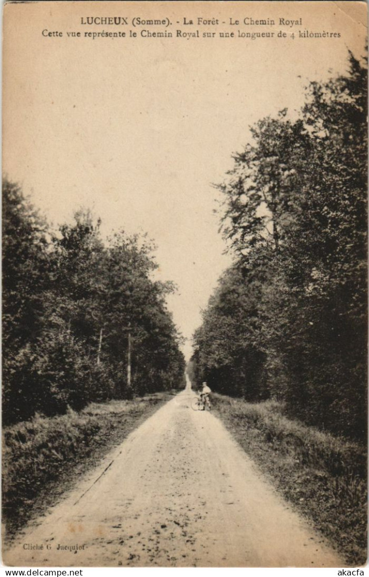 CPA LUCHEUX La Foret Chemin Royal (17619)