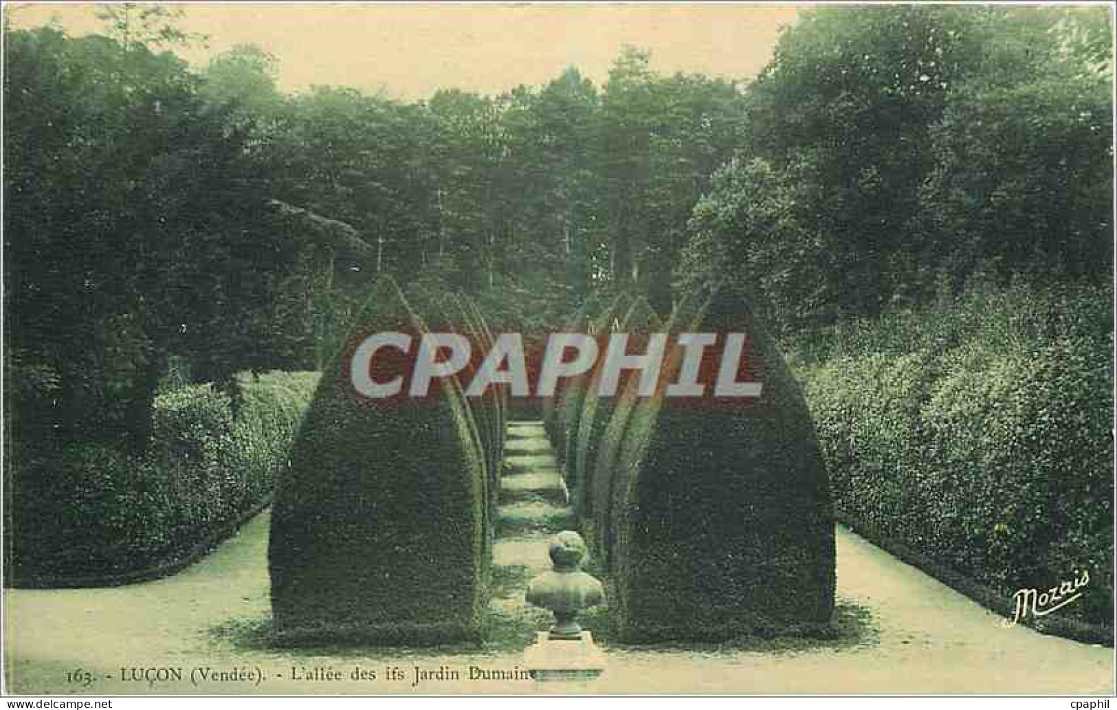 CPA Lucon Vendee L'allee des ifs Jardin Dumaine