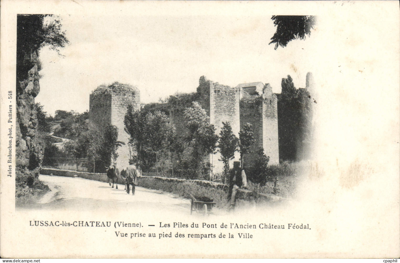 CPA Lussac les Chateau (Vienne)
