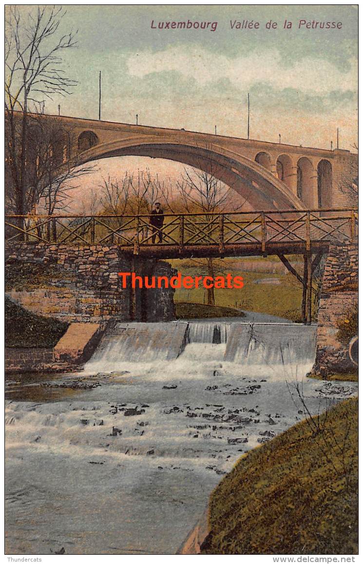 CPA  LUXEMBURG LUXEMBOURG VALLEE DE LA PETRUSSE