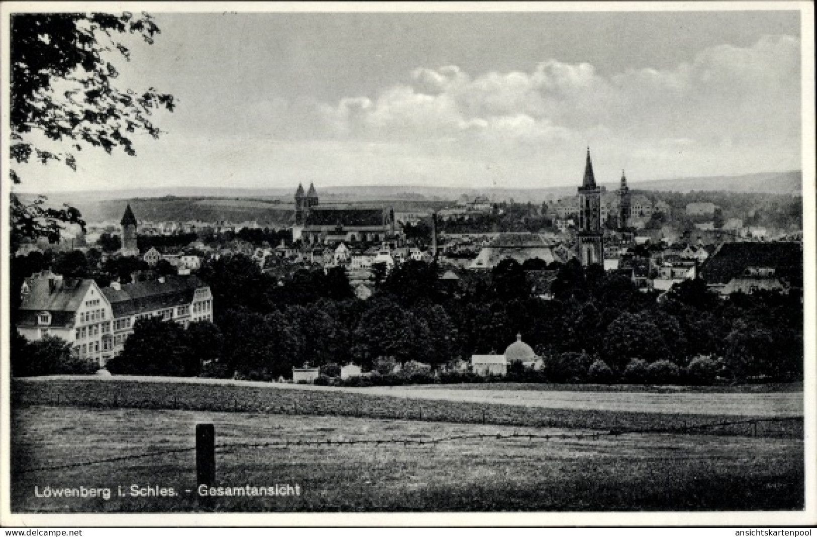 CPA Lwówek Śląski Löwenberg Schlesien, Gesamtansicht