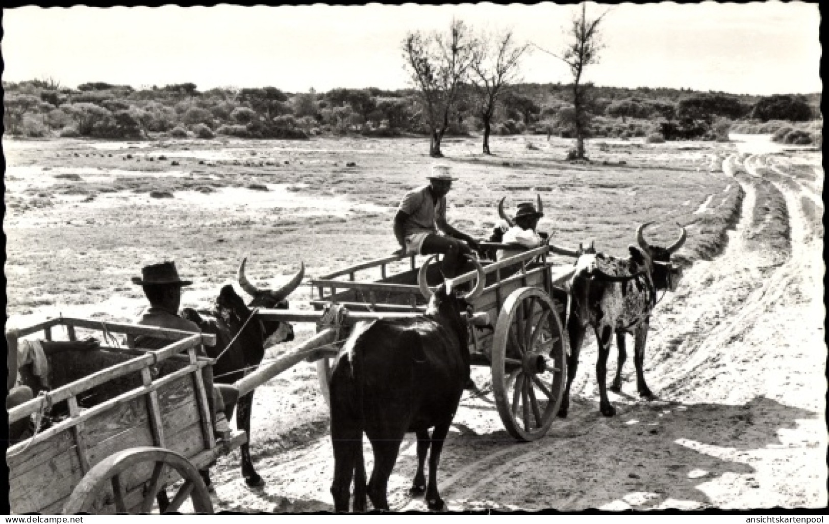 CPA Madagaskar, Ochsenkarren