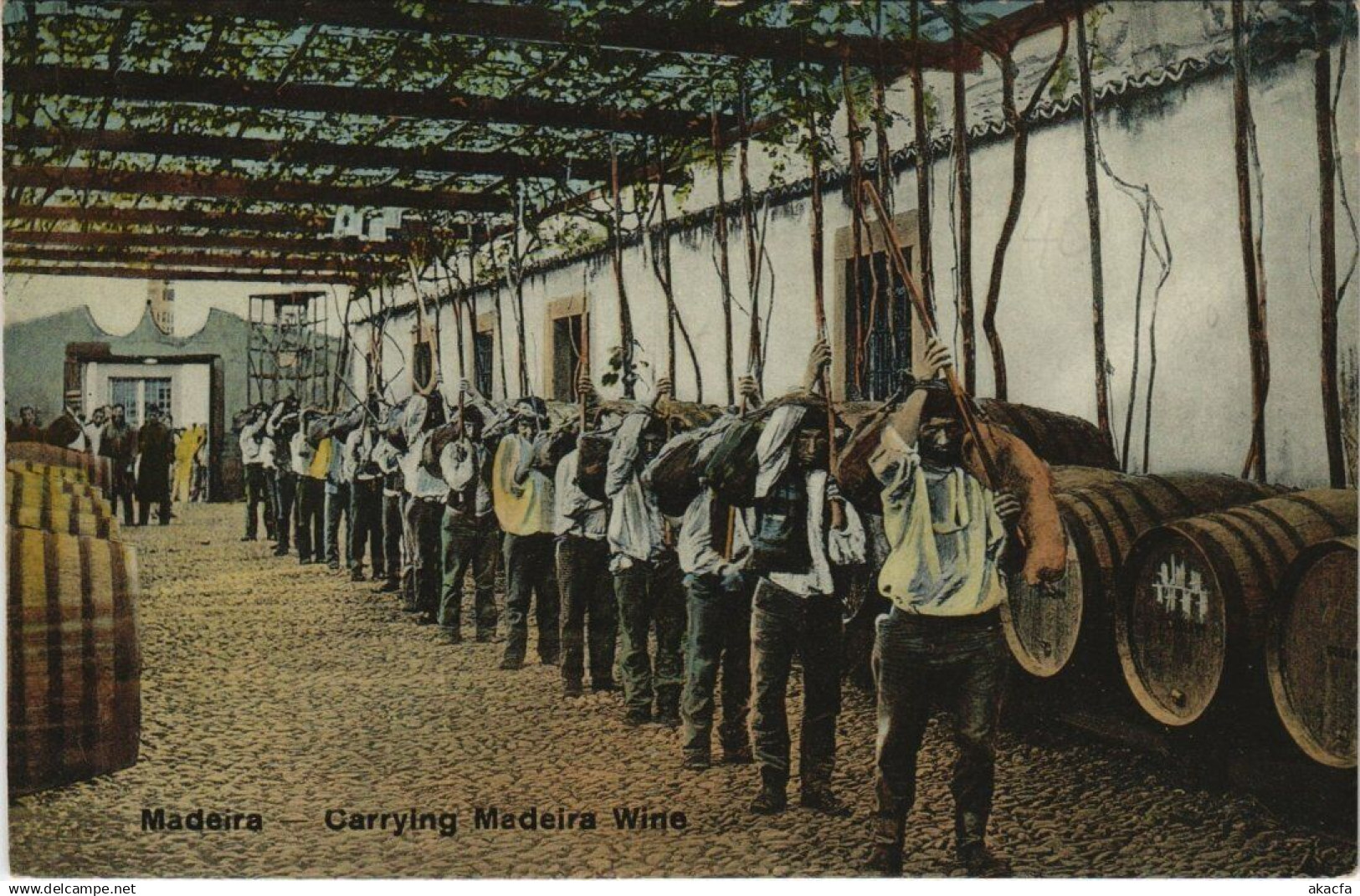 CPA MADEIRA - Carrying MADEIRA Wine PORTUGAL (760061)