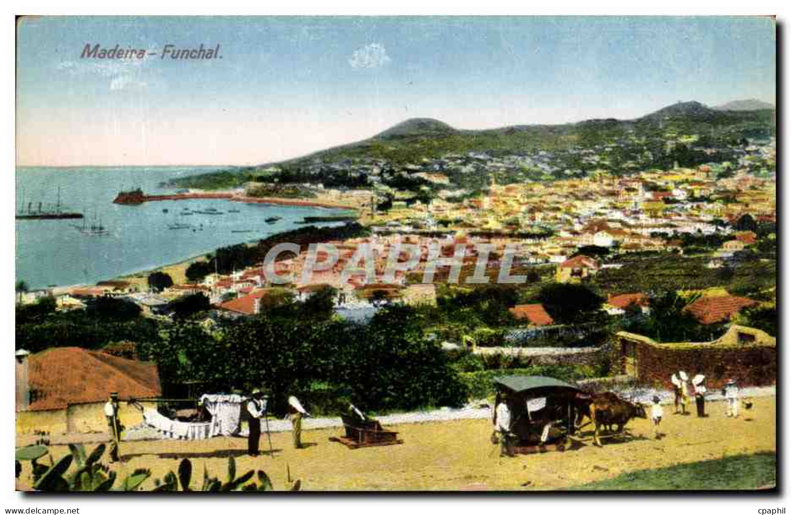 CPA Madeira Funchal