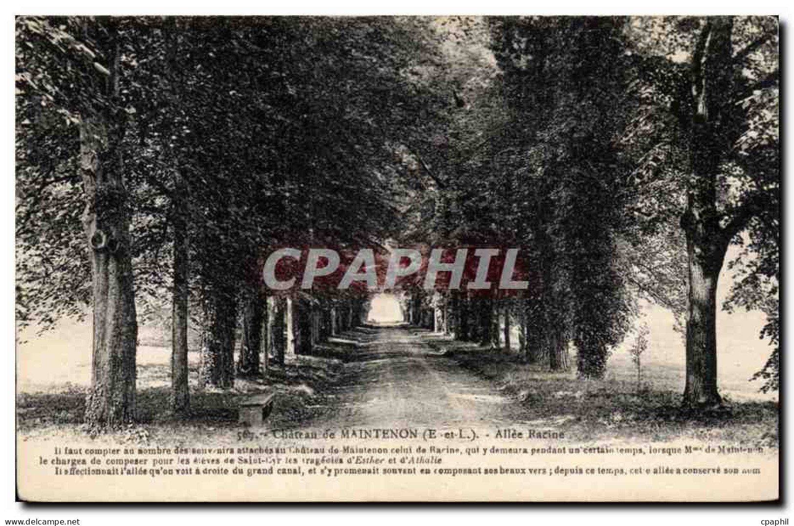 CPA Maintenon Chateau Allee Racine