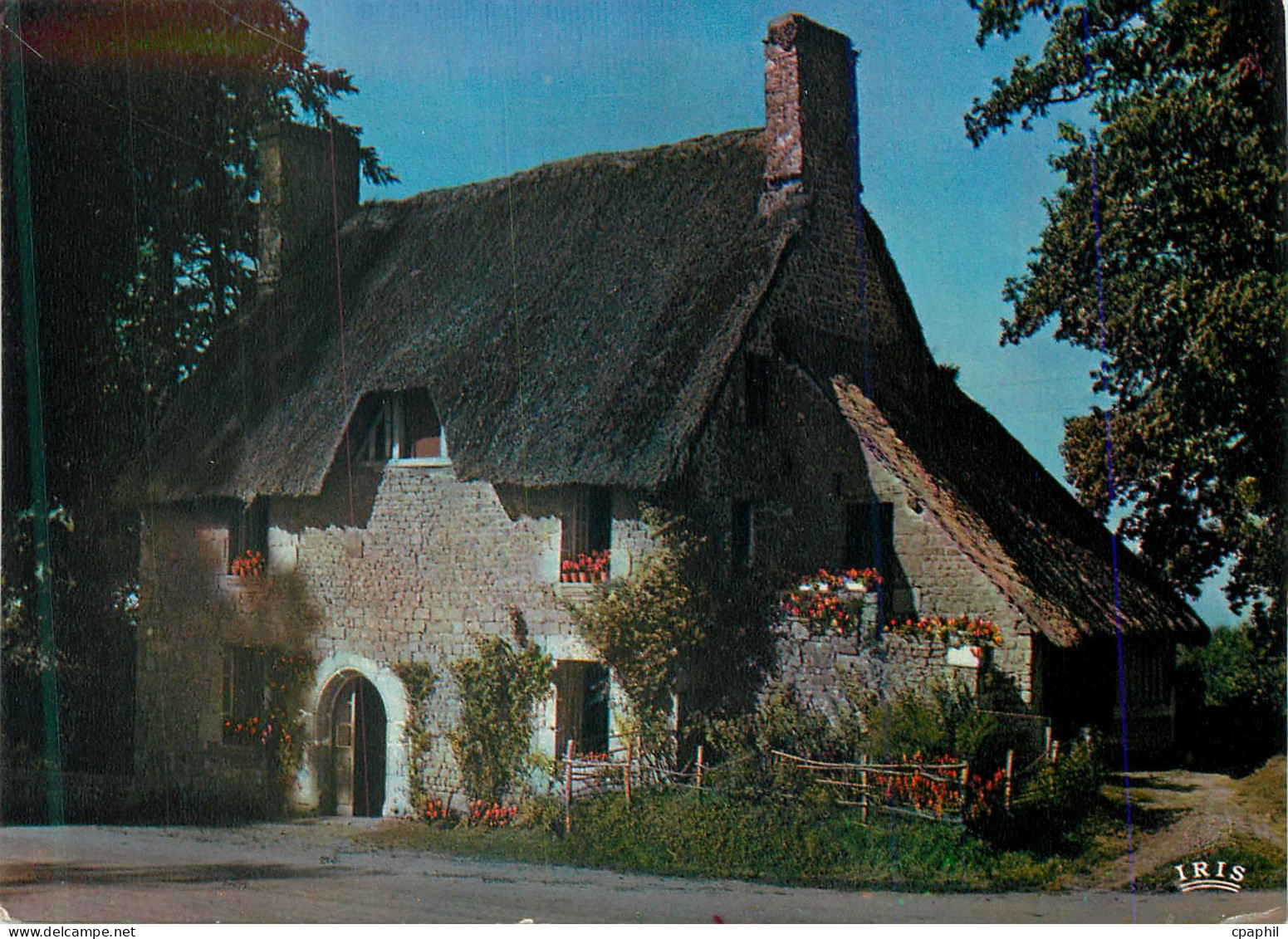 CPA Maison Normande au Toit de Chaume la Luxuriante Normandie