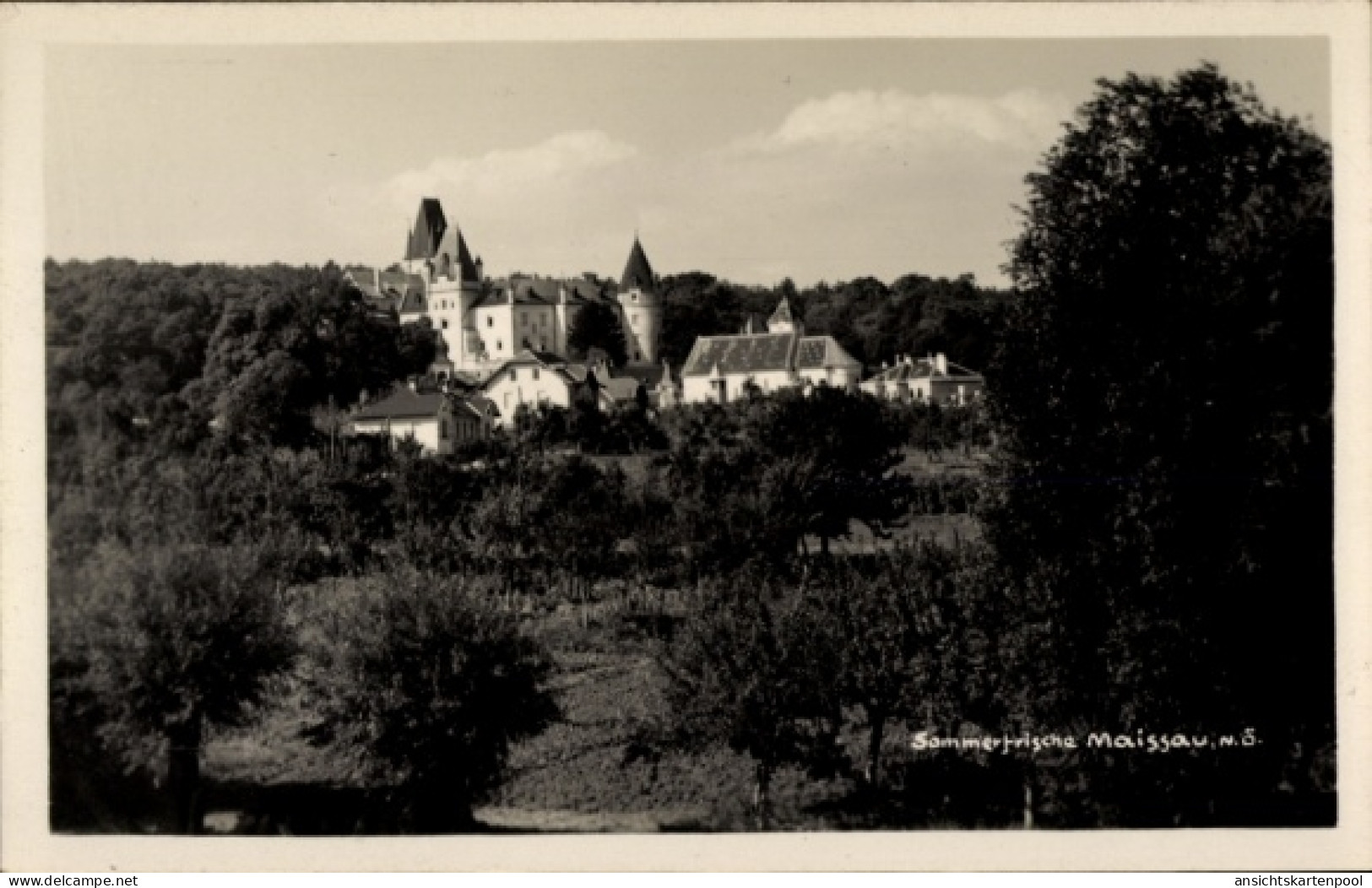 CPA Maissau in Niederösterreich, Blick auf Burgen, Bäume, Landschaft, Schwarz-Weiß-Foto