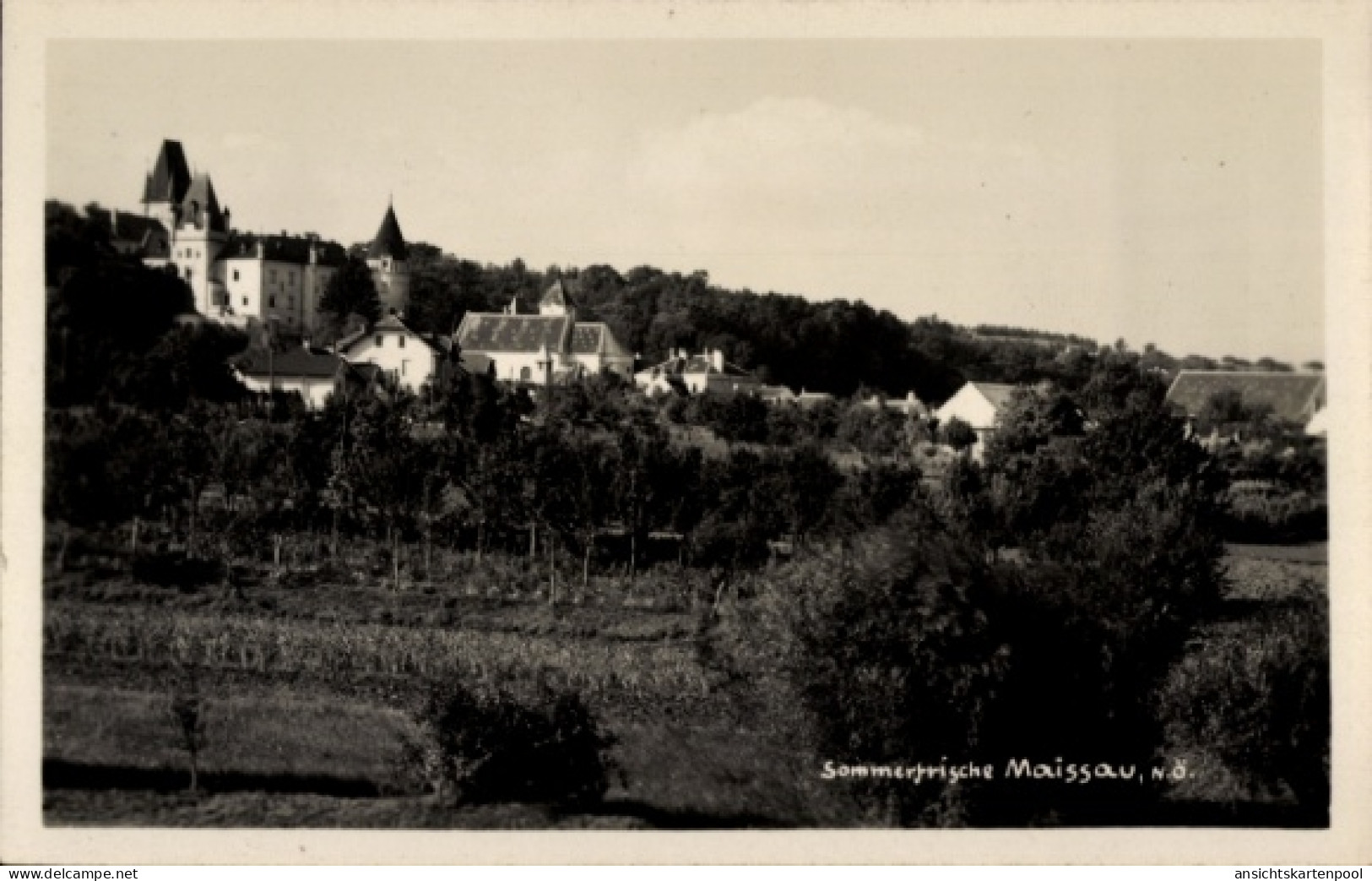 CPA Maissau in Niederösterreich, Sommerfrische Landschaft, Bäume, Gebäude, Hügel