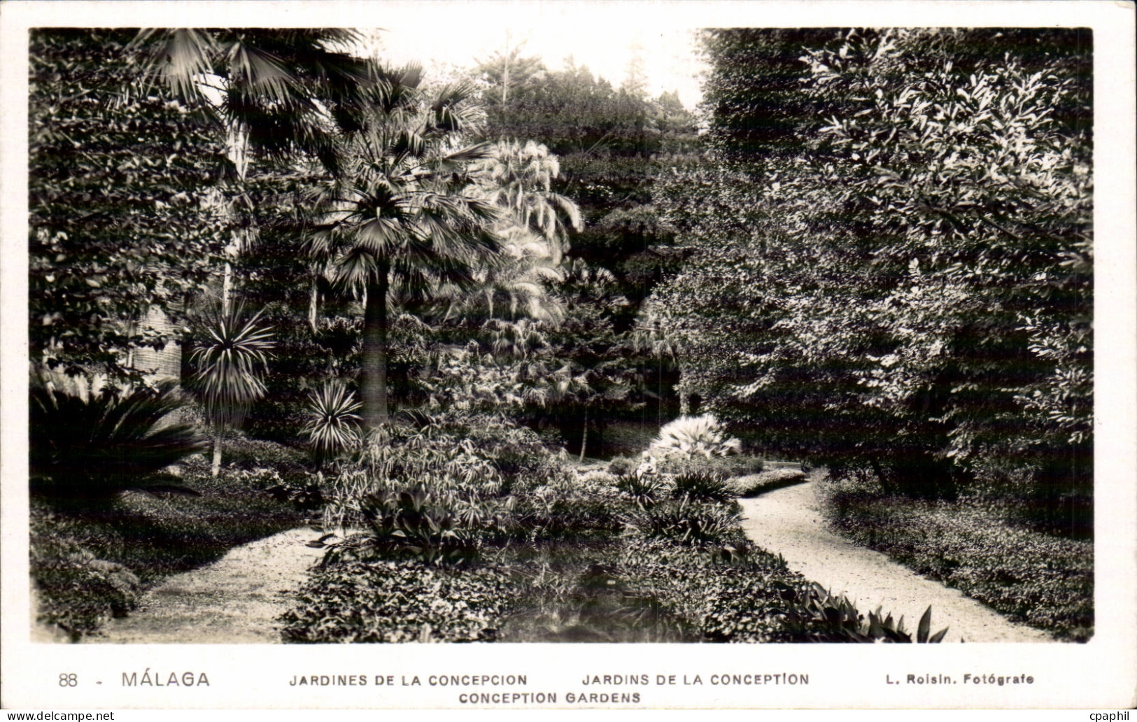 CPA Malaga Jardines de la Concepcion